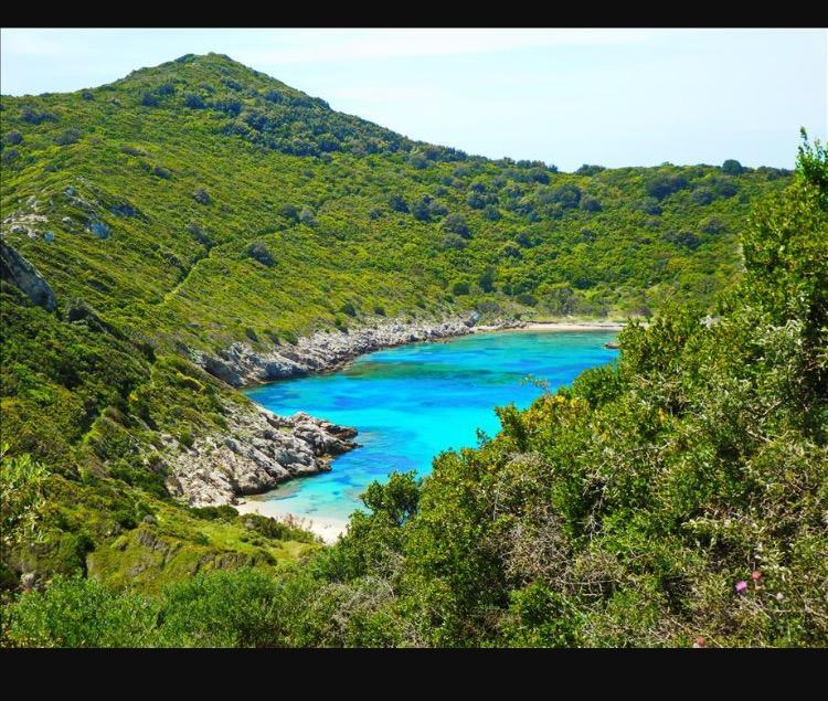 Ninos Corfu Villas アギオス・ゲオルギオス エクステリア 写真